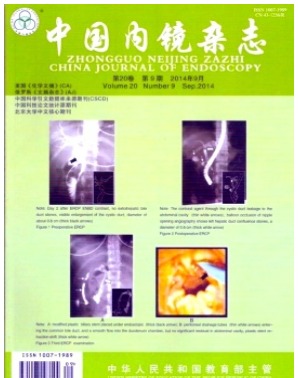 中国内镜