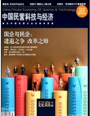 中国民营科技与经济