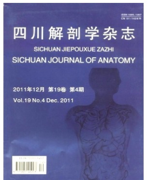 四川解剖学