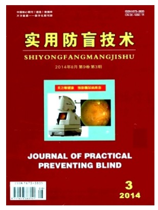 实用防盲技术