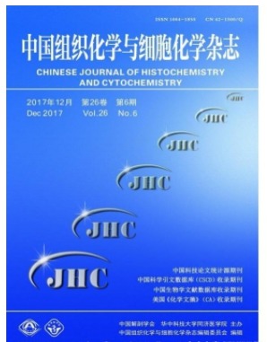 中国组织化学与细胞化学