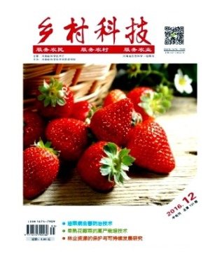 乡村科技
