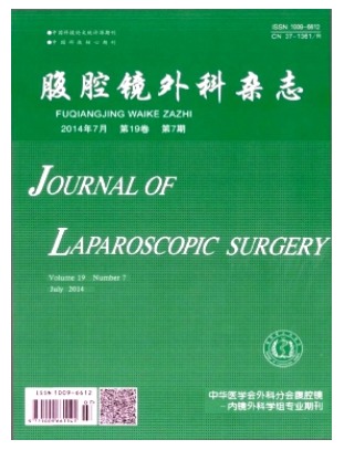 腹腔镜外科