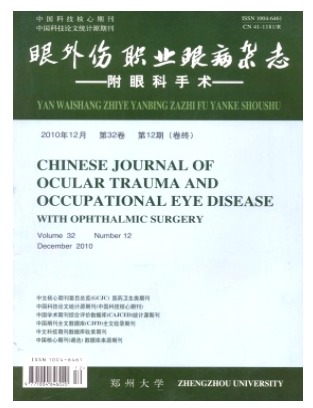 中华眼外伤职业眼病