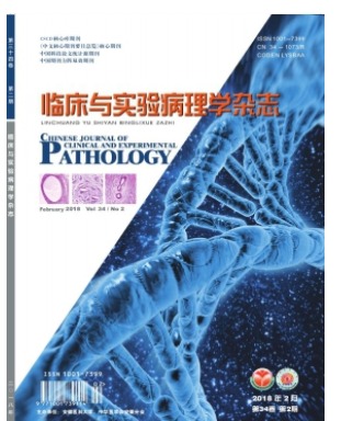 临床与实验病理学
