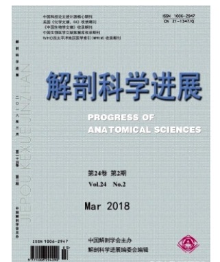 解剖科学进展