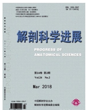 解剖科学进展