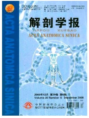 解剖学报
