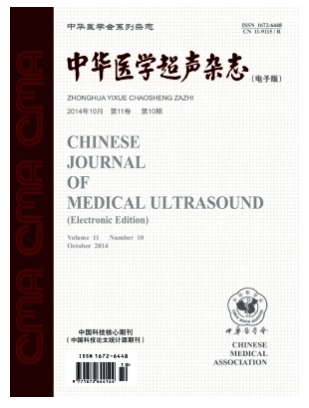 中华医学超声