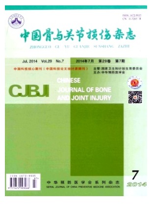 中国骨与关节损伤