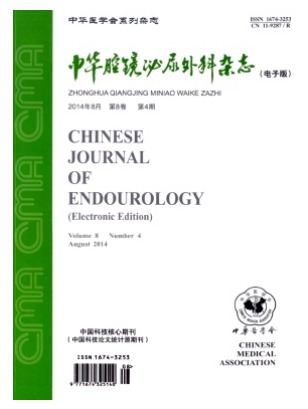 中华腔镜泌尿外科