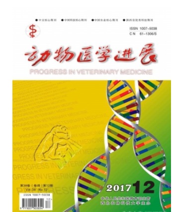 动物医学进展