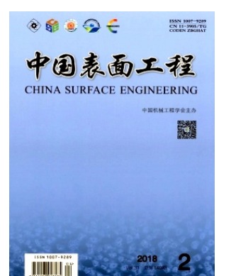 中国表面工程