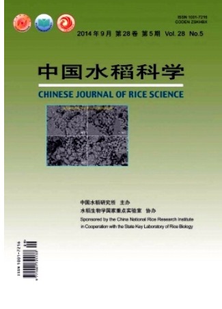 中国水稻科学