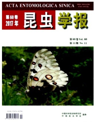 昆虫学报
