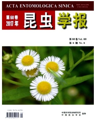 昆虫学报