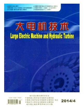 大电机技术