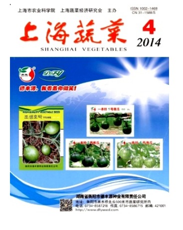 上海蔬菜