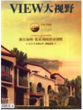 大视野