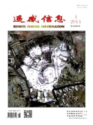 遥感信息