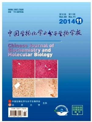 中国生物化学与分子生物学报