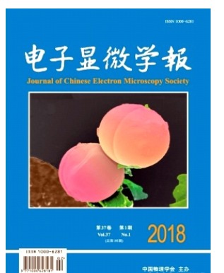 电子显微学报