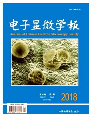电子显微学报