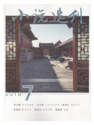 小说选刊