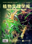 植物生理学报