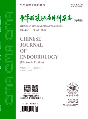 中华腔镜泌尿外科