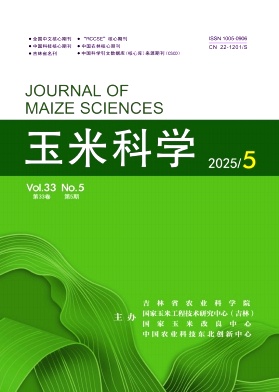 玉米科学