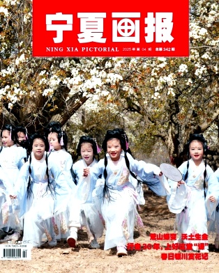 宁夏画报