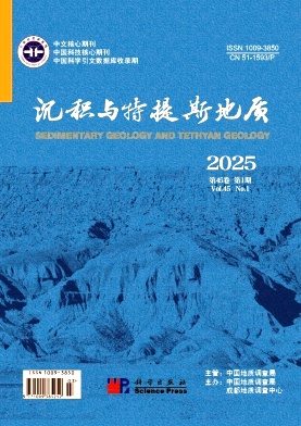 沉积与特提斯地质