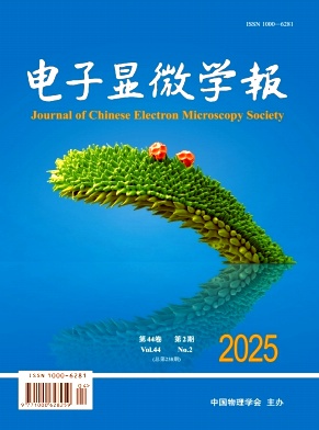 电子显微学报