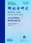 解剖学研究