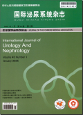 国际泌尿系统